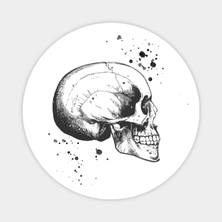 Skull Art • Illustration With Splashes Magnet